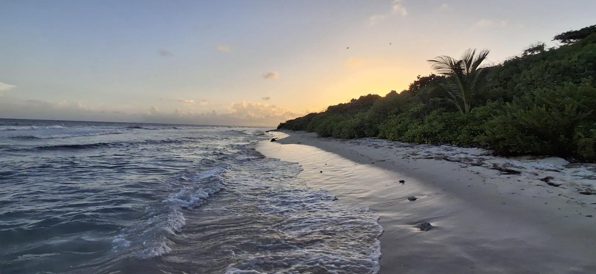Villa Barbadine - Location Villa Guadeloupe Saint Francois Dış mekan fotoğraf